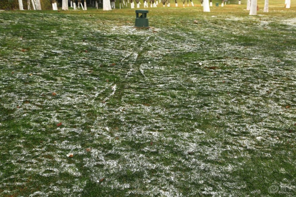 【【新年新气象】玉溪红塔山观雪】_云南论坛