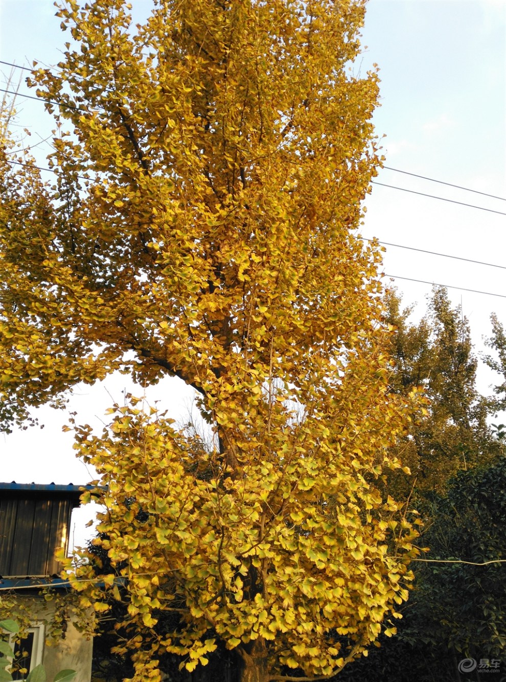 【在冬季一个晴朗的天气里,选择骑骑自行车也