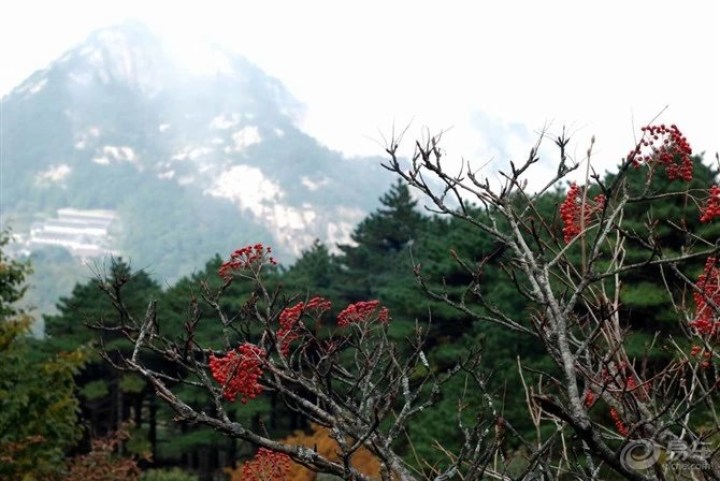 【【旅行的意义】东北人去南方华东五市易行】