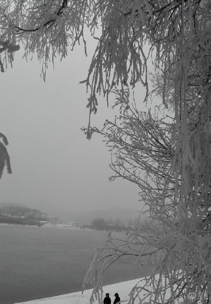 【《吉林市CS75车友会》186用友软件 吉林雾