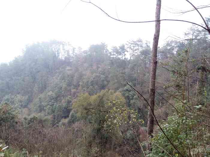 【南平九峰山西塔】福建论坛论坛