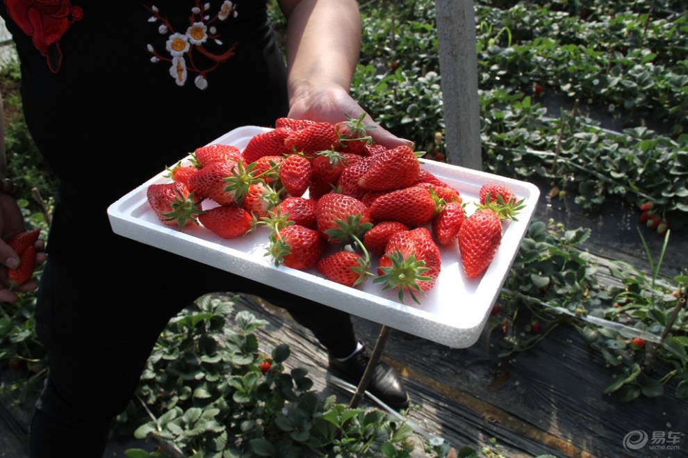 【跟踪大侠七一起走进里口山~探索寺福癀、吃