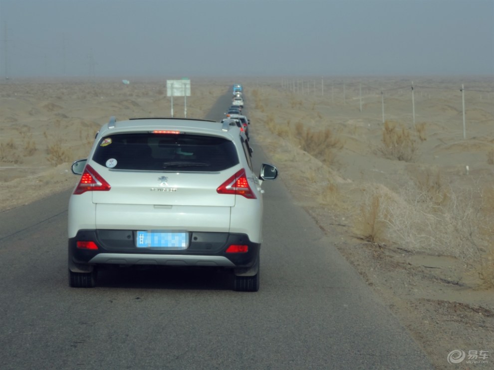 【【民勤植树】参加植树活动有感】_甘肃论坛