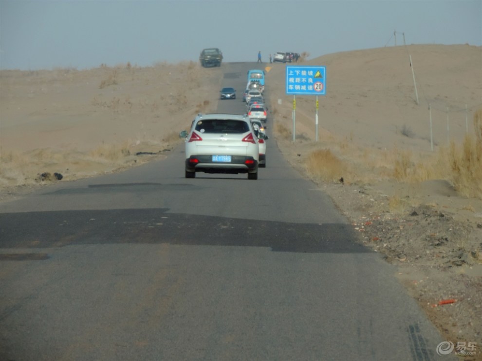 【【民勤植树】参加植树活动有感】_甘肃论坛