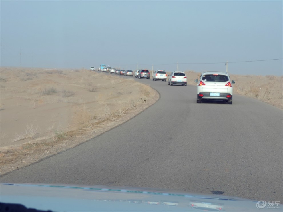 【【民勤植树】参加植树活动有感】_甘肃论坛