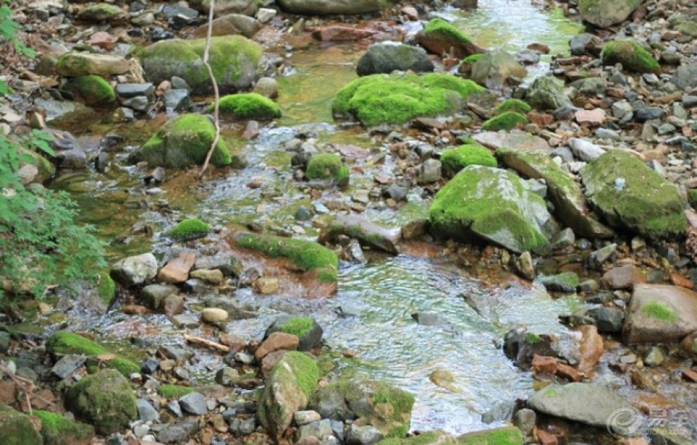 【上山下坡,一点也不吃力!】_荣威350论坛图片