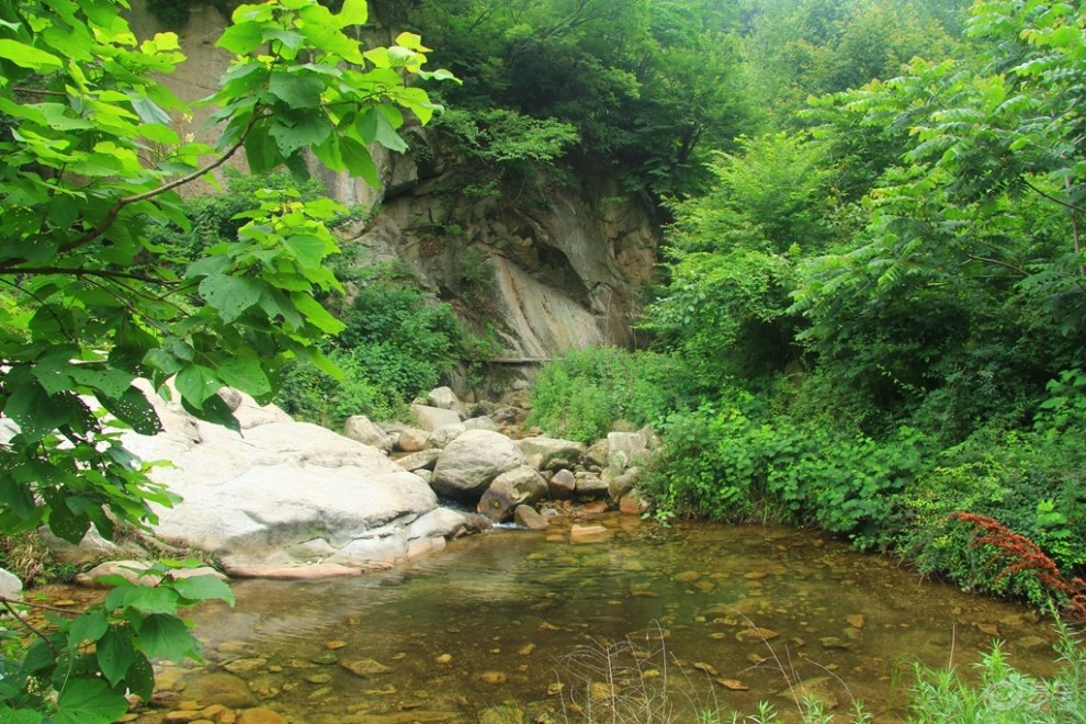 【【美丽视点】走进大森林 享受氧吧水吧 美在