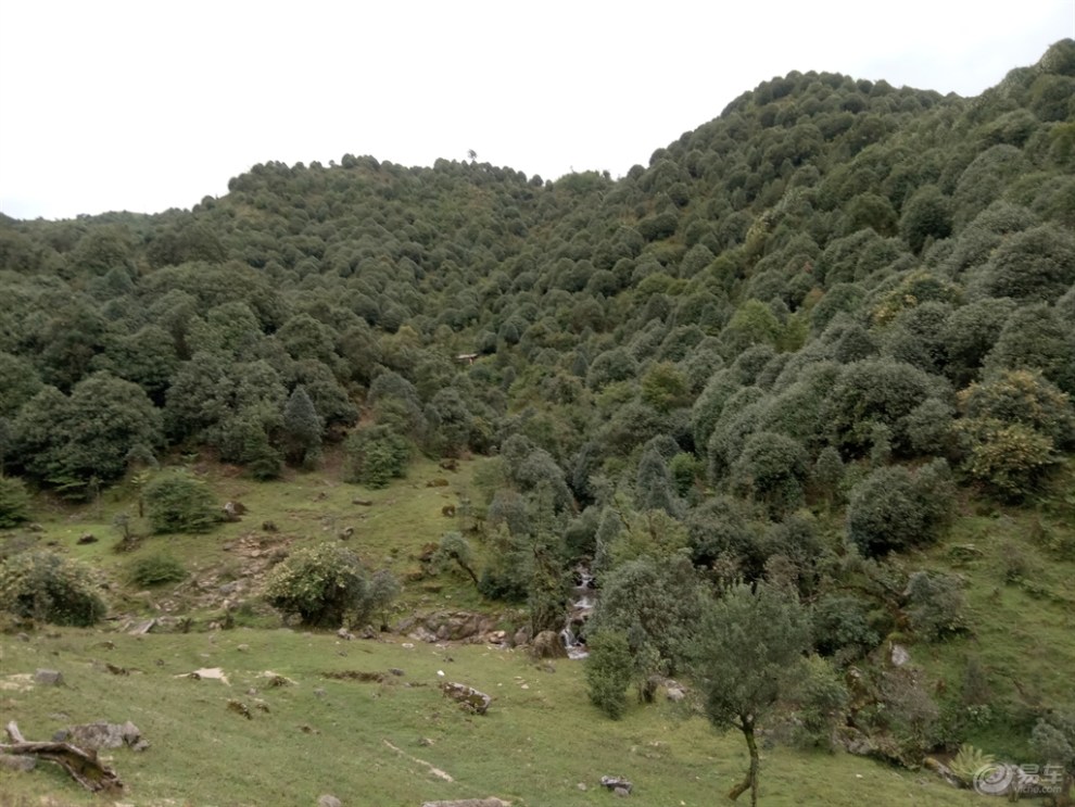 又一个周末,开大迈x5闲游芒市苤菜坝