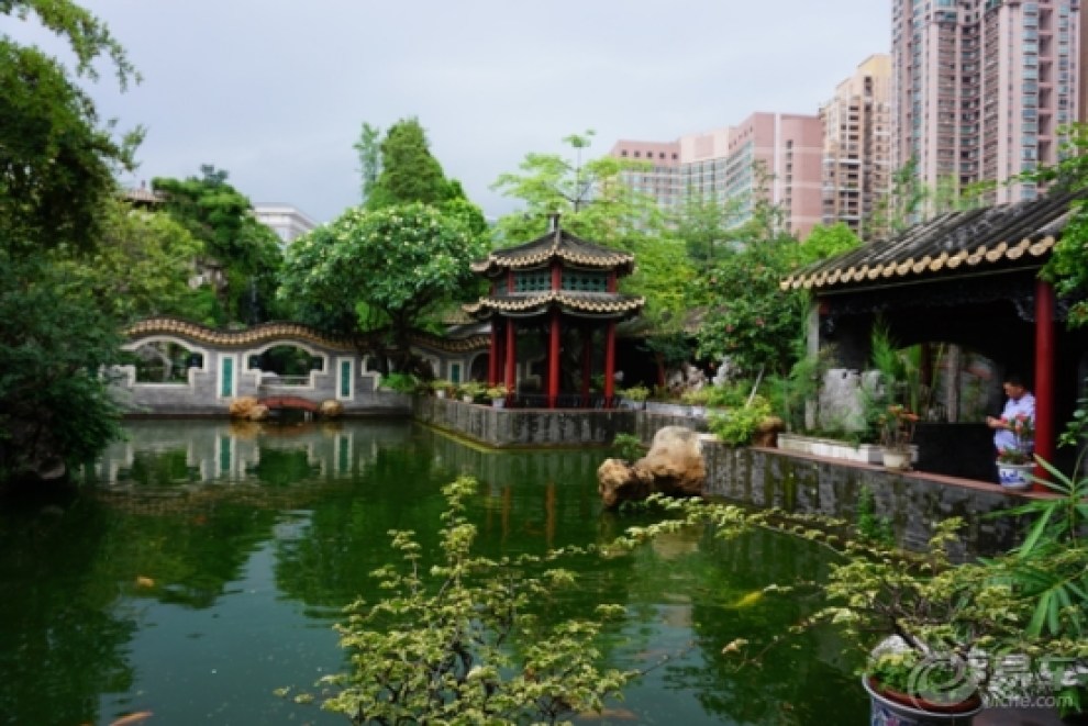 【享受一个人的宁静时光,顺德自驾一日游】_冠