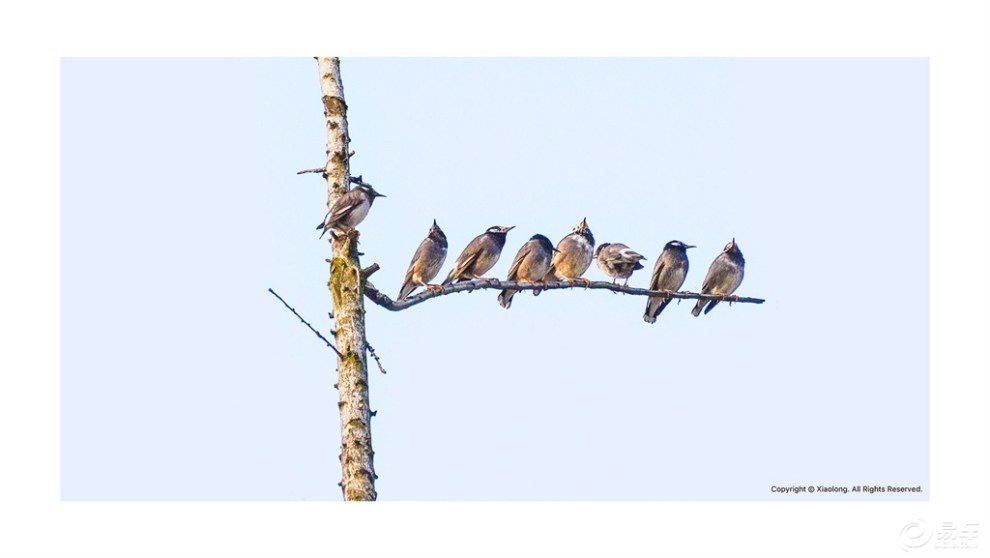 【美好的,留在心底,遗憾的,随风散去,赠DS女神