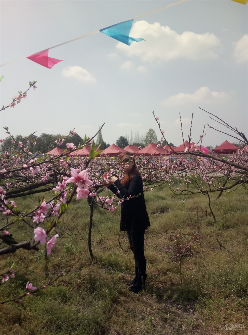 【看三生三世桃花缘电视剧后遗症】_四川论坛