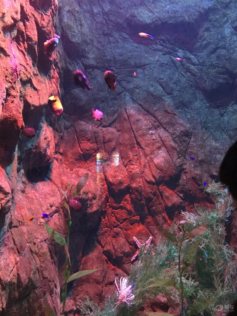 【春末夏初好时节--她的青岛之行 我的帝豪GS