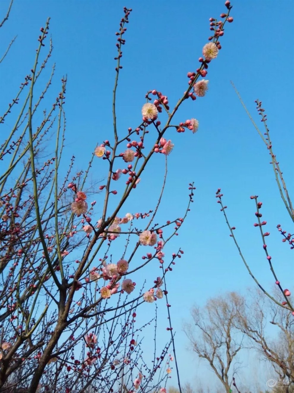 生机勃勃的春天