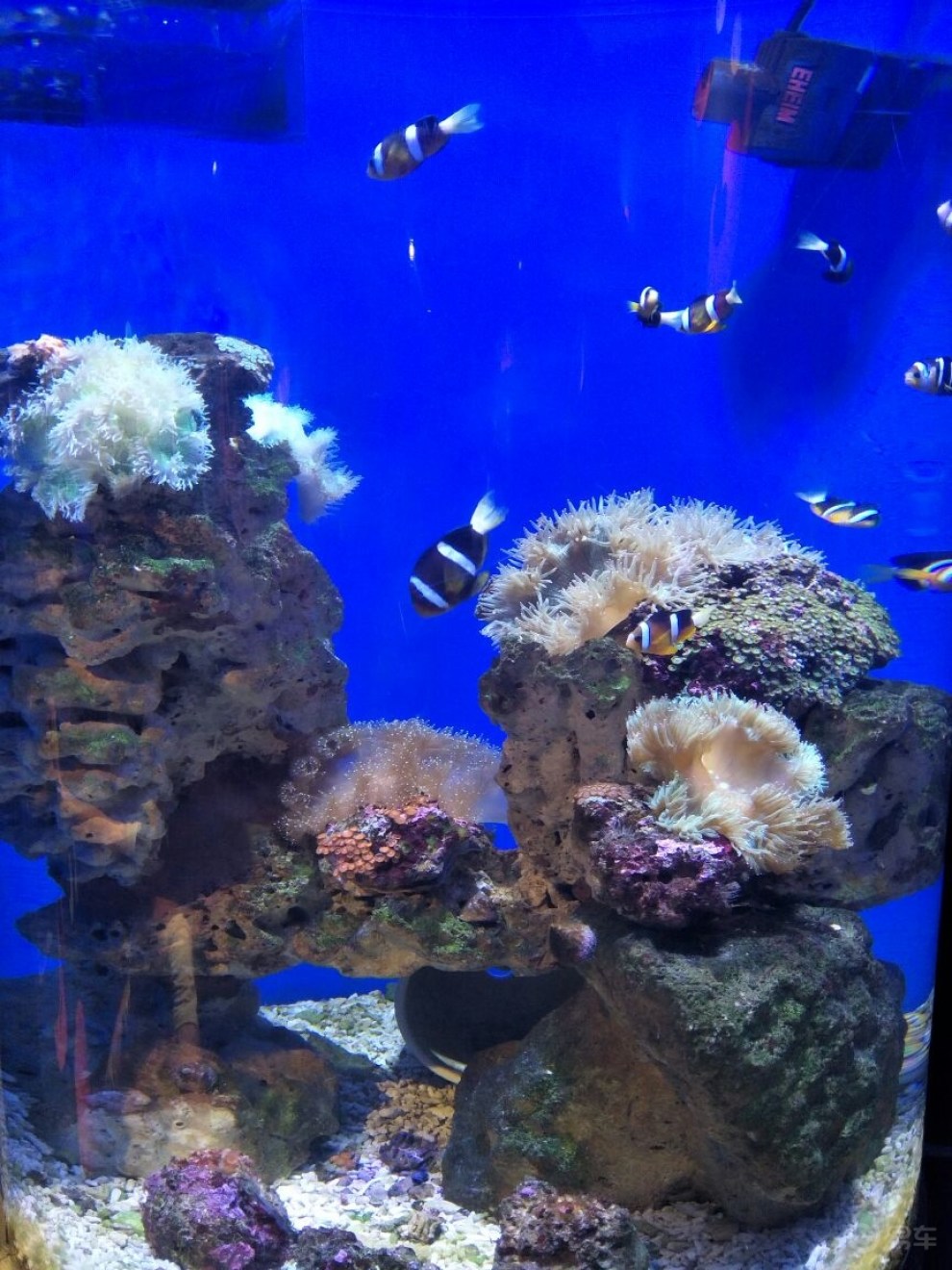 武汉海昌极地海洋世界