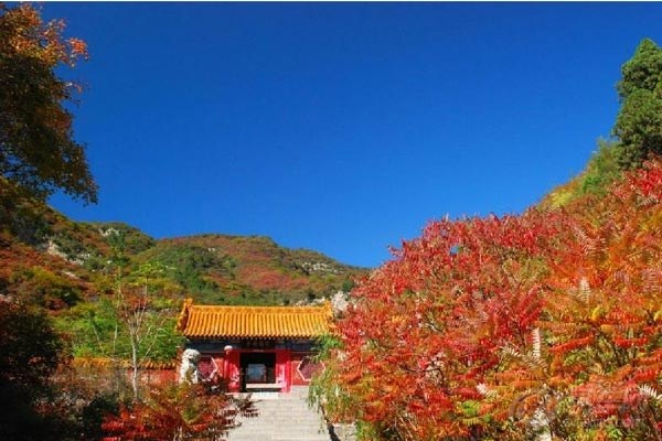 【美丽的仙台山--自驾游的好去处】_河北论坛
