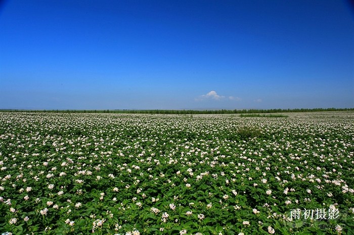 【去多伦最重要的那天(7月2日)下雨,后果很严重