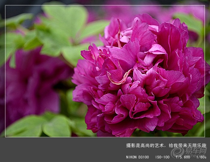 20120206_123f1081-e426-4597-b7a0-931aa142ee10_700_0_max_jpg.jpg
