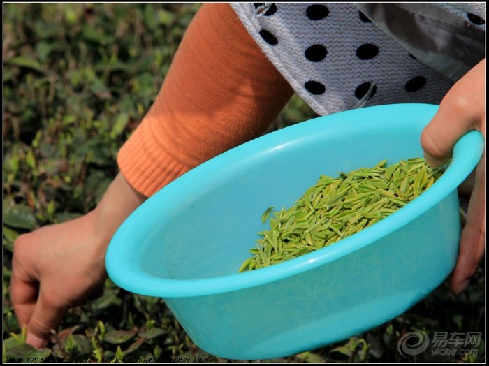 【贵州新农村】_摄影论坛图片集锦