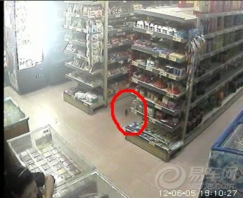 【实拍蚂蚁捕老鼠】_森雅M80论坛