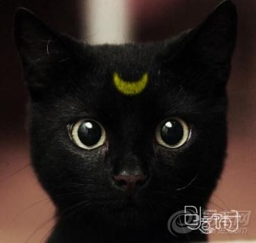 【8月14日笑话:脸黑的本府不见】_宝来论坛_汽车论坛-易车网