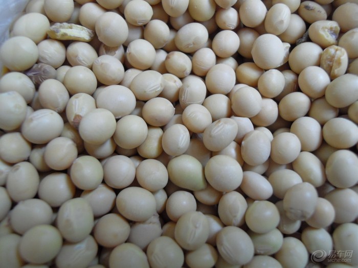 【【今晚吃什么】8岁儿子制作五谷豆浆】_美