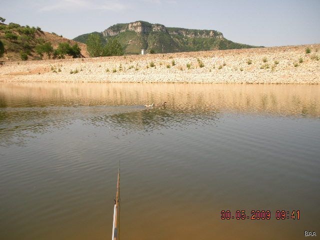 【临朐水库钓鱼记】_宝来论坛