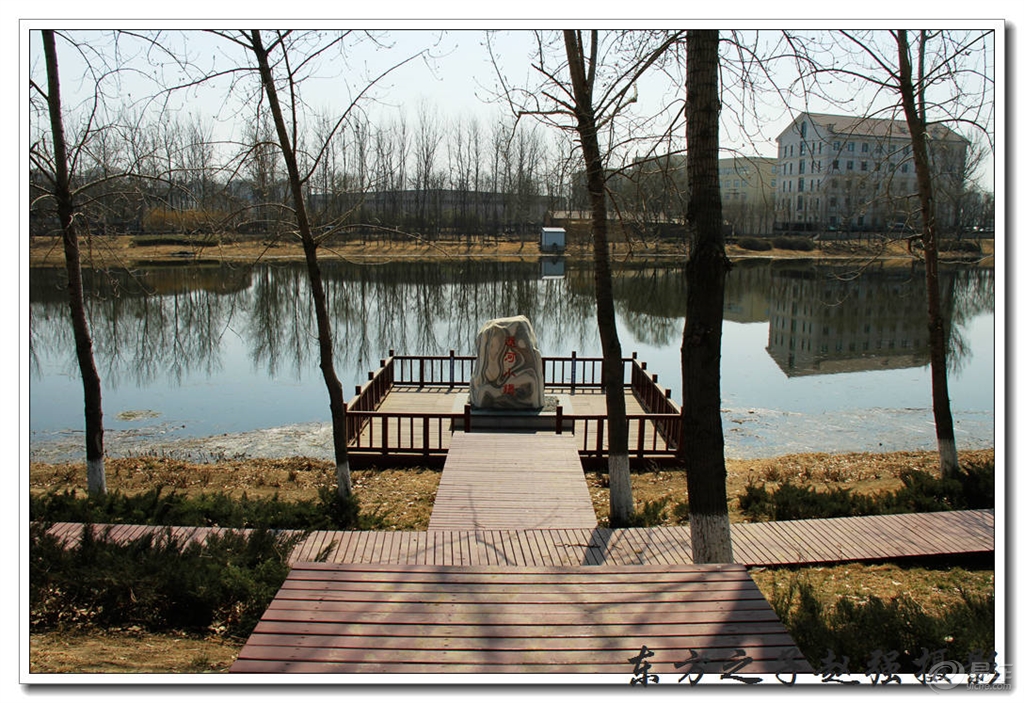 《武清郊野公园》