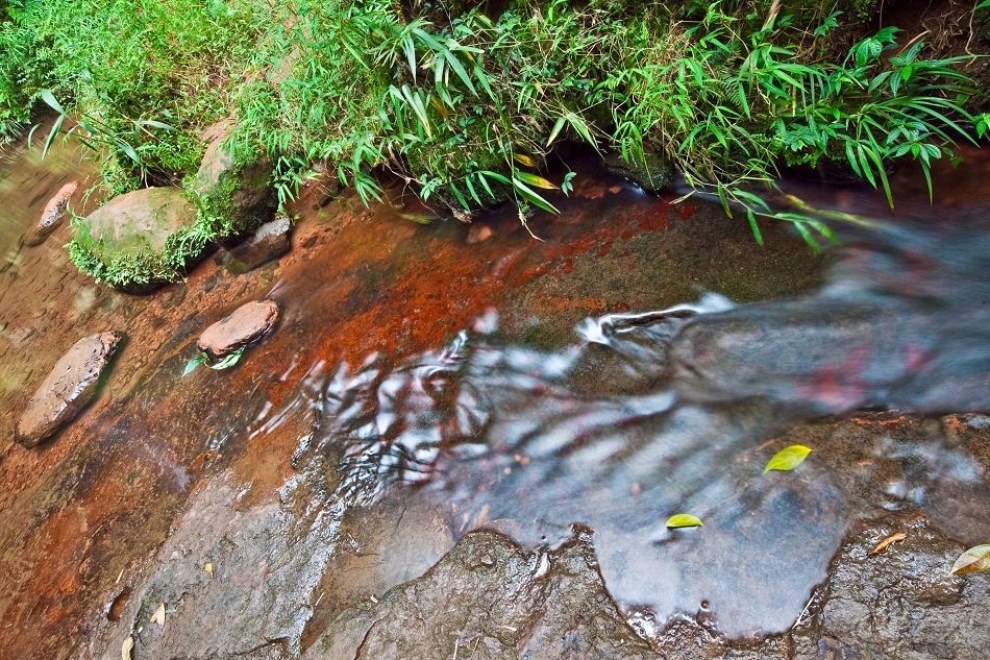 畅游在蜀南竹海之二——墨溪