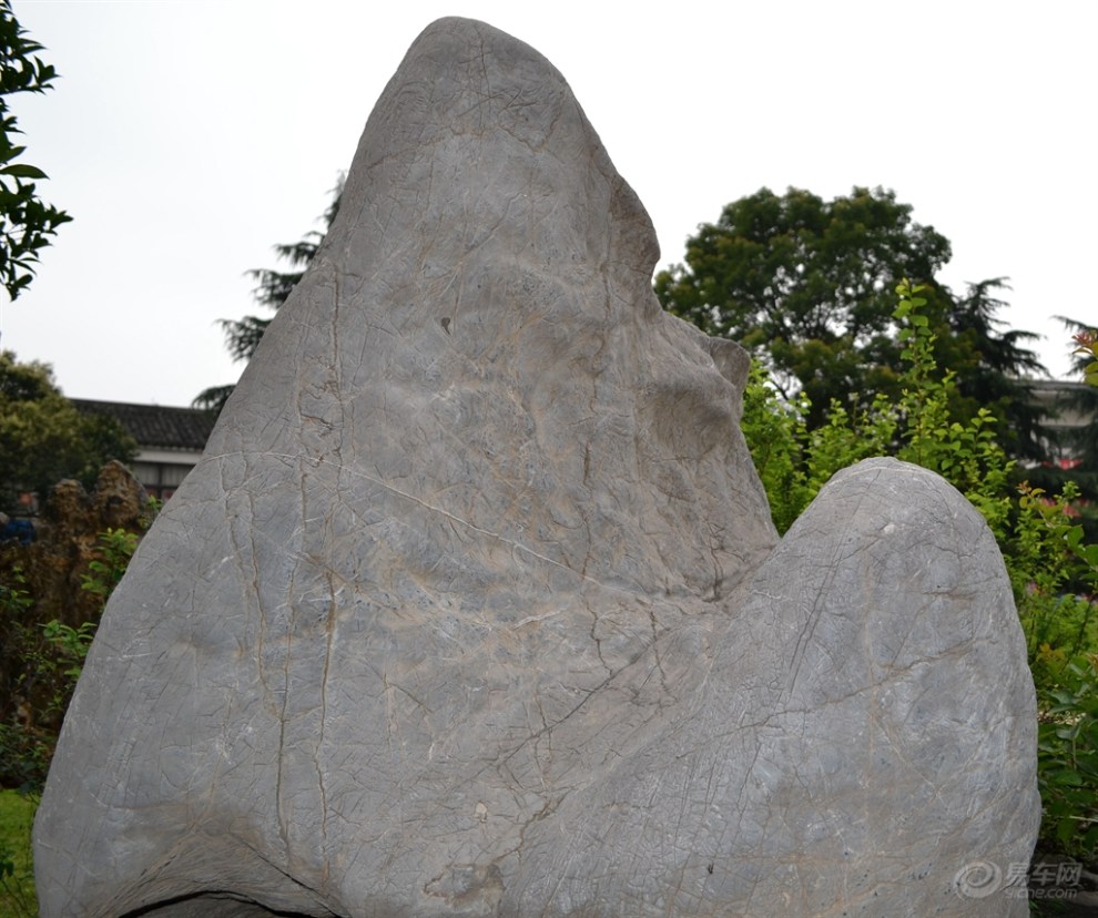 跟隨我的鏡頭去感受合肥【古玩】【花鳥】【奇石】市場的精彩瞬間