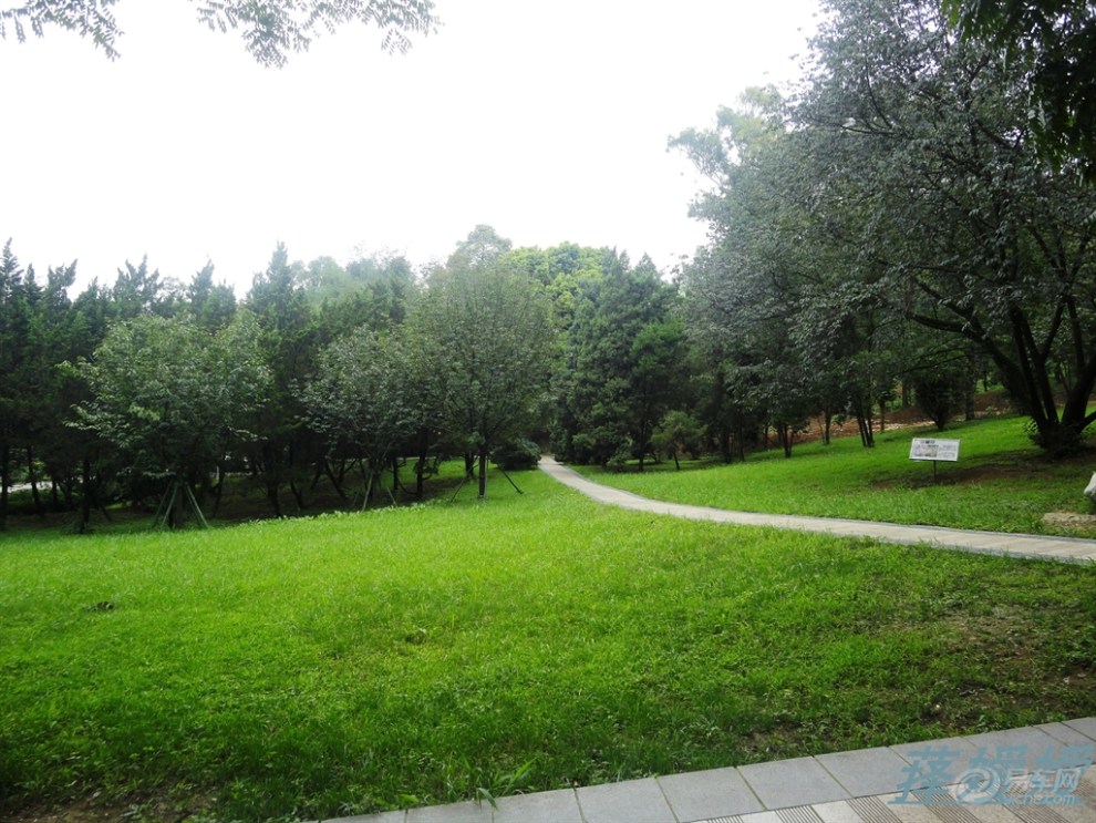 成都風景——植物園