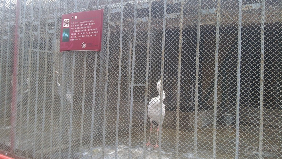 【攝影標兵】徐州彭祖園景色欣賞之動物園篇!