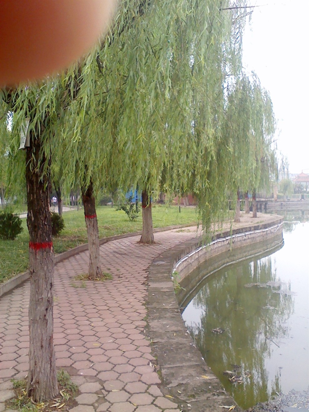 【爱旅游 赢车币】欣赏泾阳县泾干湖公园