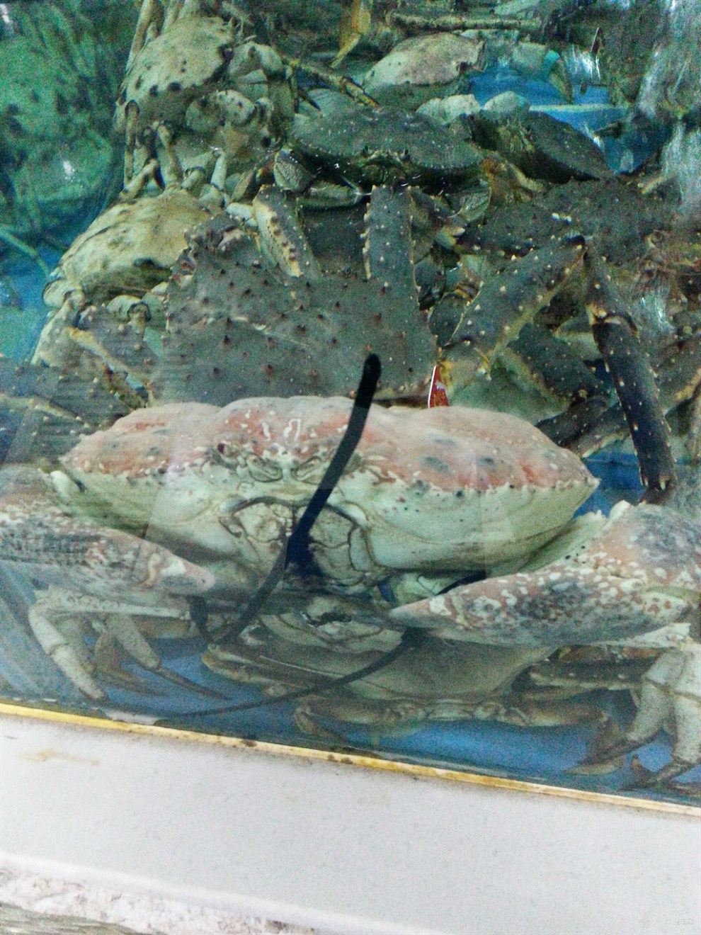 唐山大陆海鲜城