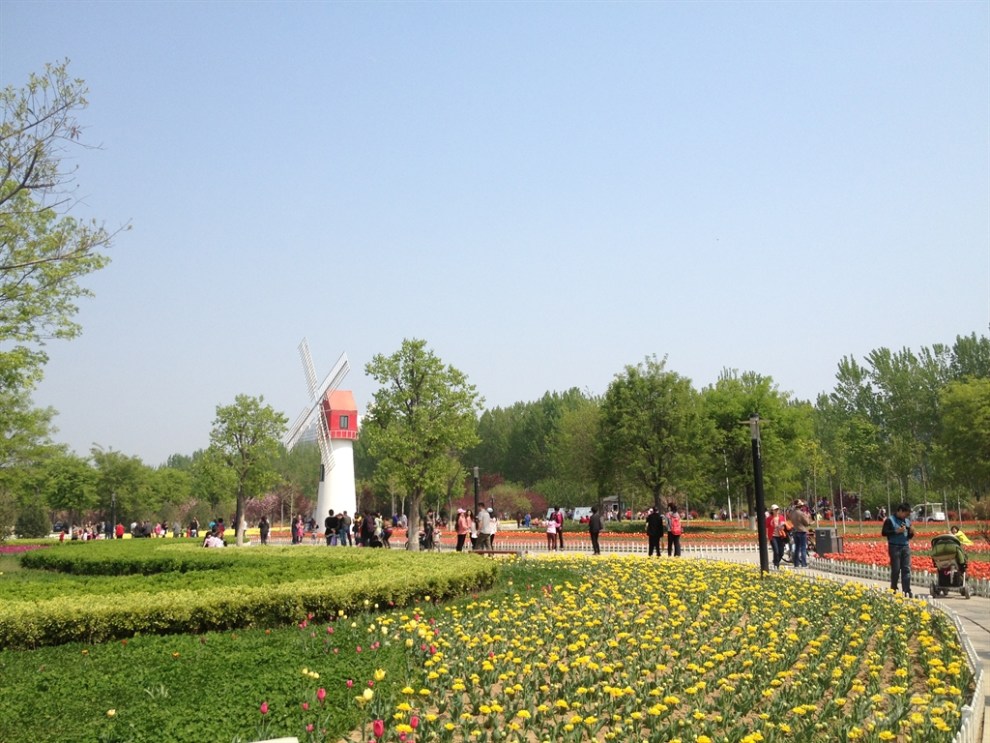 【自驾堵车不堵心】游览杨家河公园