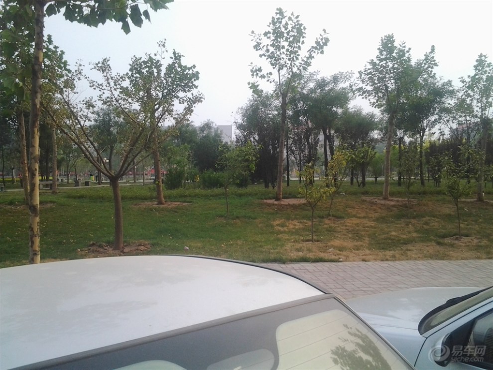 早上出门随拍申精