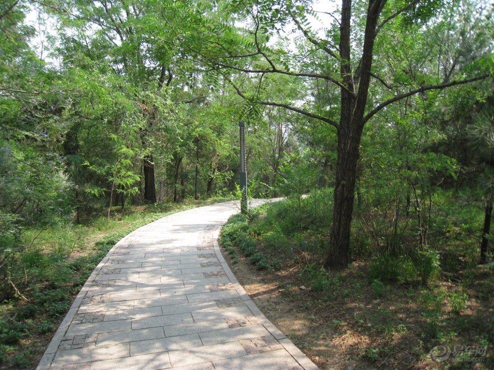 黃臺湖公園遊記