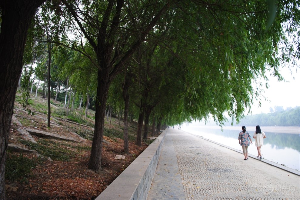 一路向北东岸河畔观景道上快慢结合走起寻拍感受生活