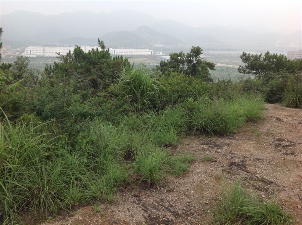 自驾游之北仑兴安公园{原创首发}