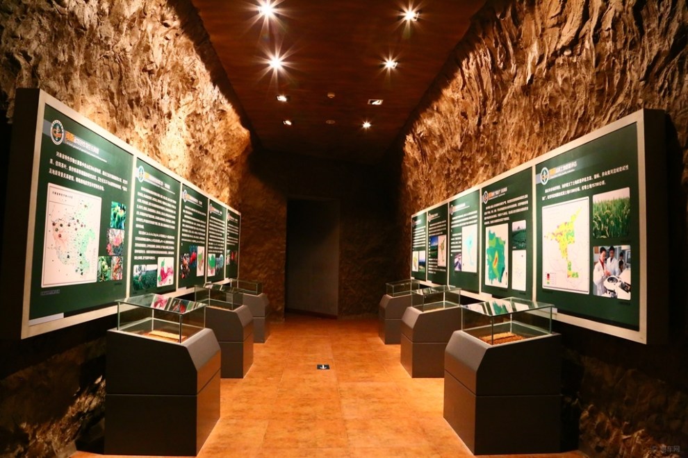参观郑州黄河国家地质公园地质博物馆