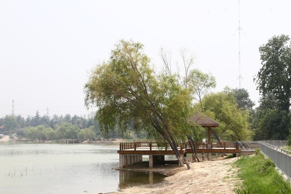 西流湖公園的美與惡