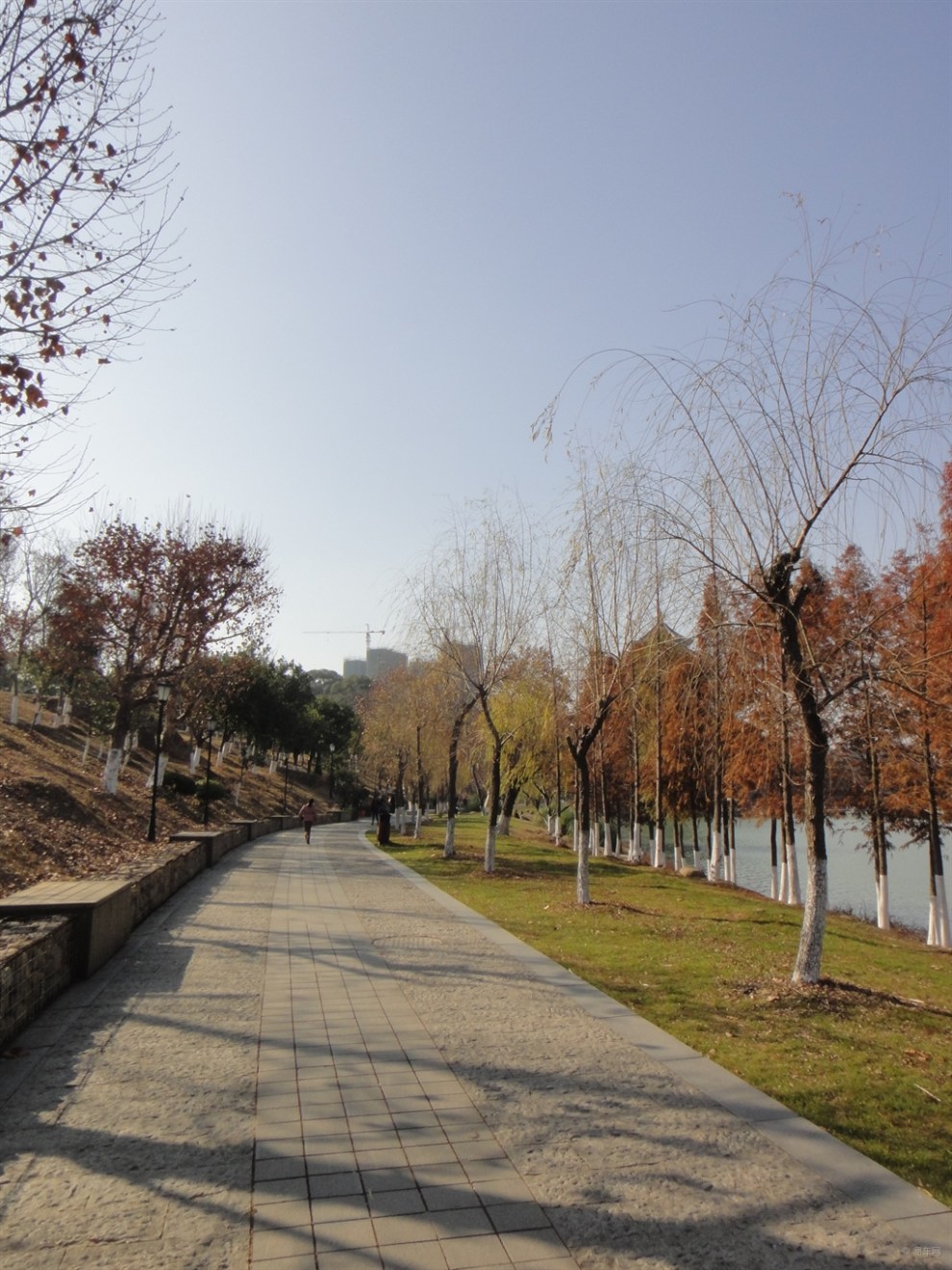 【双蛋逛欢】元旦游鹰潭滨江公园