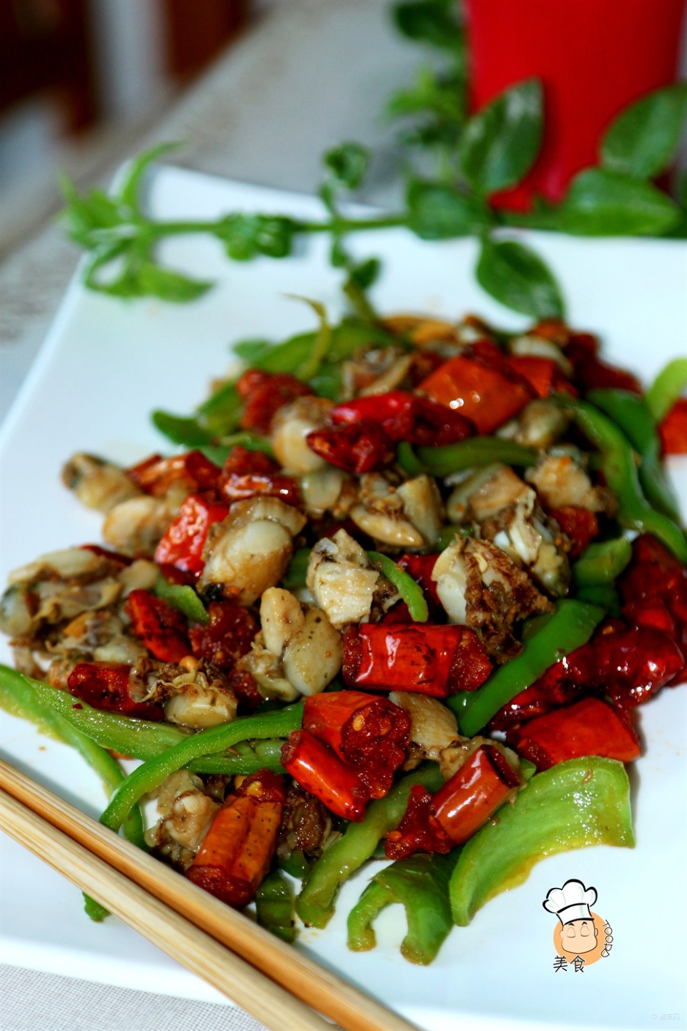 【食尚玩家】辣炒扇贝(星期三)