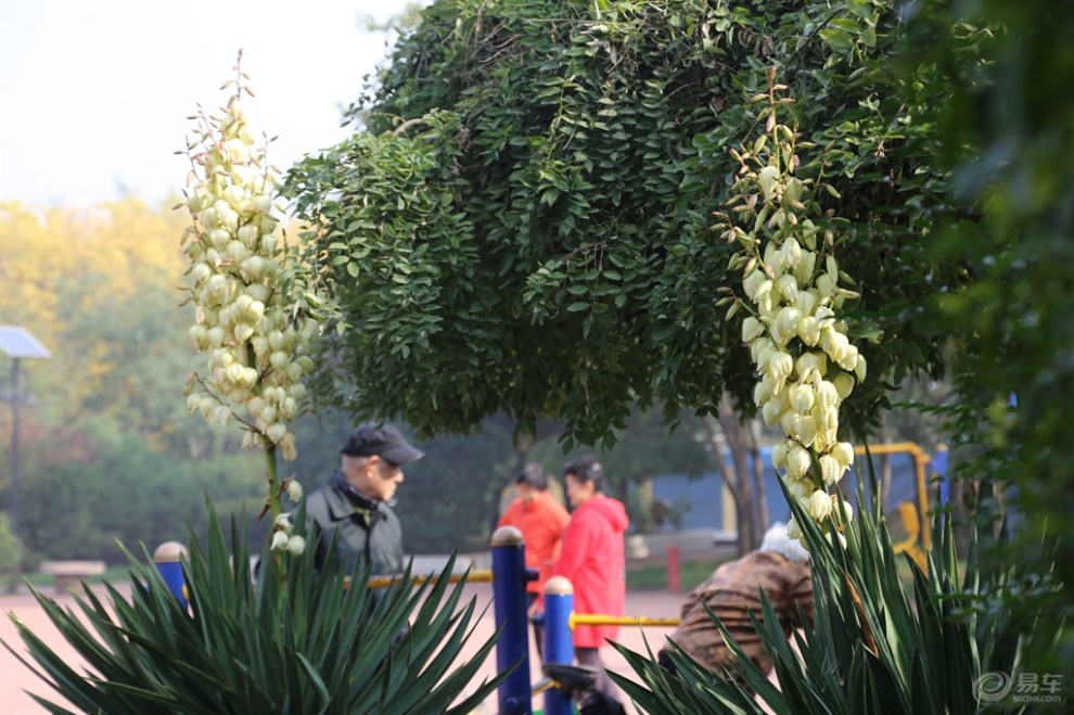 美丽的侯马新田广场