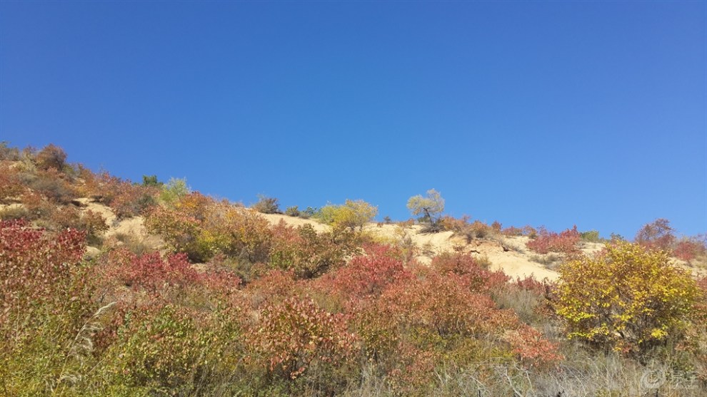 《我的家鄉美》赤峰松山區老府鎮烏梁蘇景區