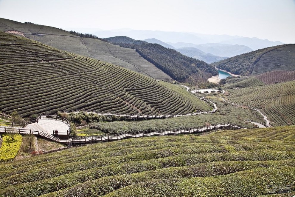 寧波福泉山