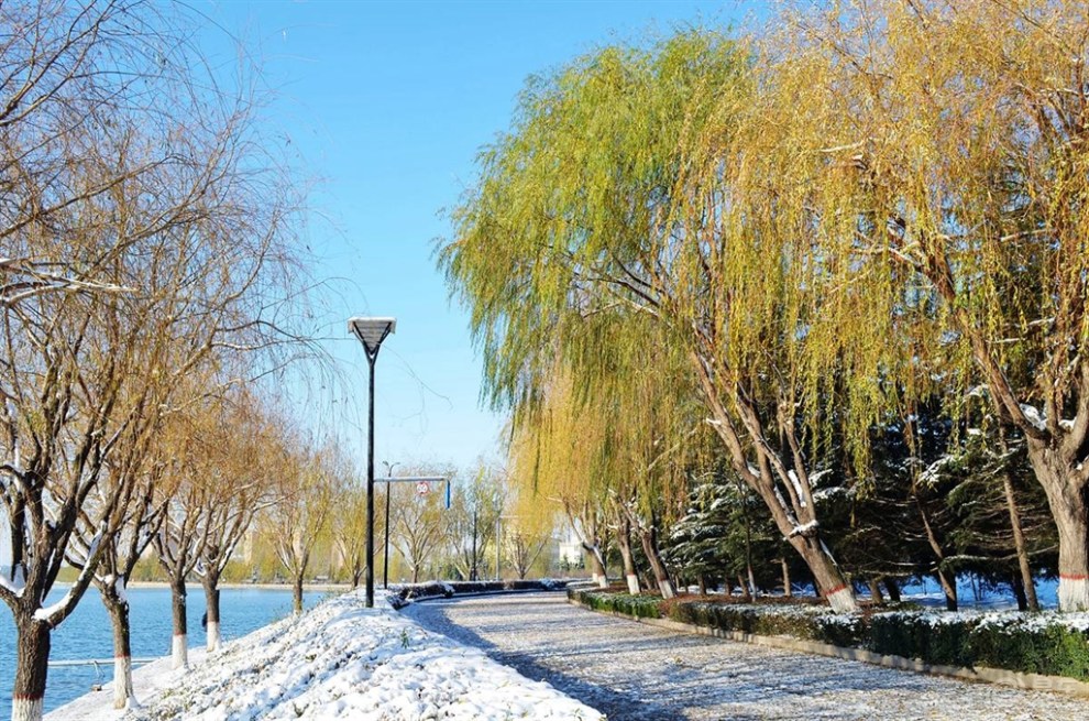 【我眼中的冬日情懷】藍天白雪美如畫