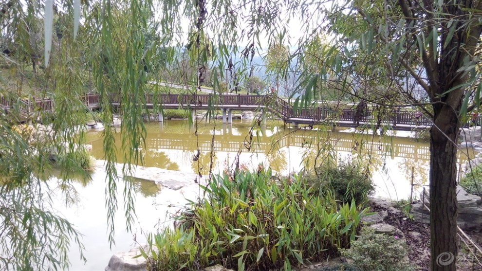 【首發】覽太白巖山頂公園景