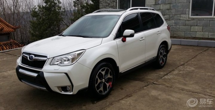 潜水党 发下家里 森林人