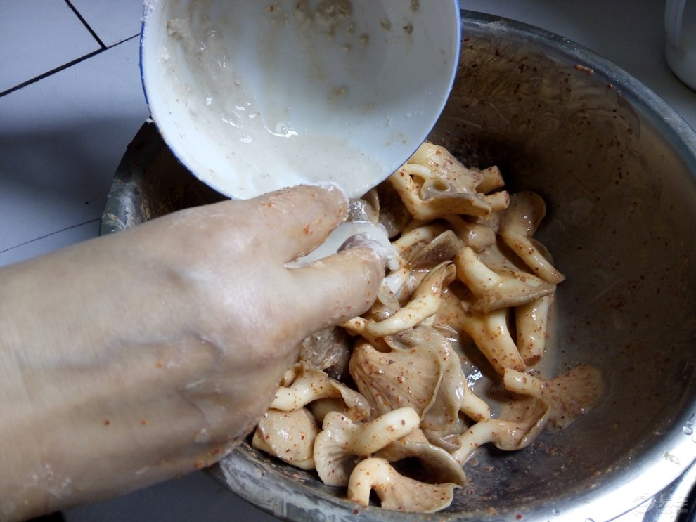 烤凤尾菇图片