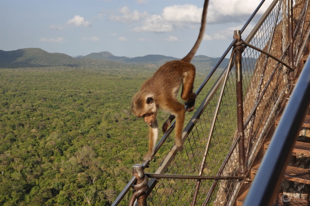 斯里兰卡的狮子岩
